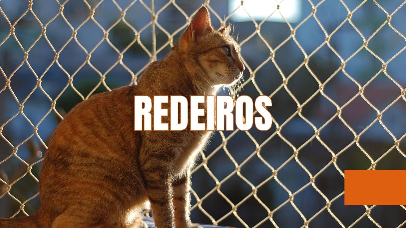 md distribuidora redeiros. insumos no atacado